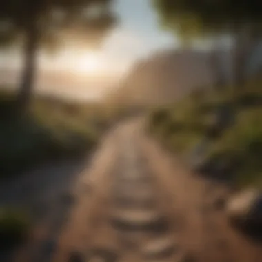 Magnificent 30 Day Meditation Challenge: A Path to Mindful Living Magnificent 30 Day Meditation Challenge: A Path to Mindful Living