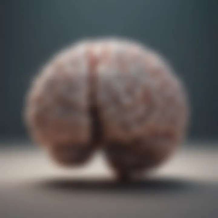 Illustration showing a brain with biological influences highlighted