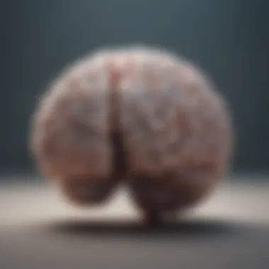 Biological Influences on Anxiety Illustration showing a brain with biological influences highlighted