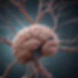 Illustration of brain neurons communicating with body cells