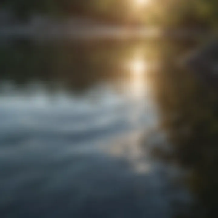 Calm water surface reflecting sunlight