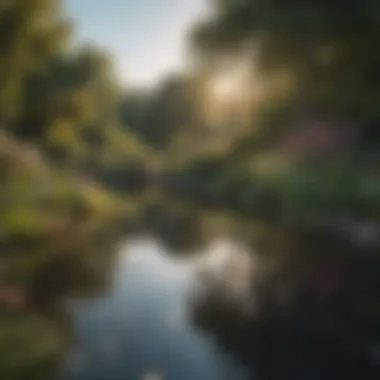 A tranquil garden with blooming flowers and a peaceful pond reflecting the sky