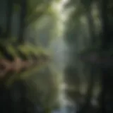 Mindful Nature Reflection