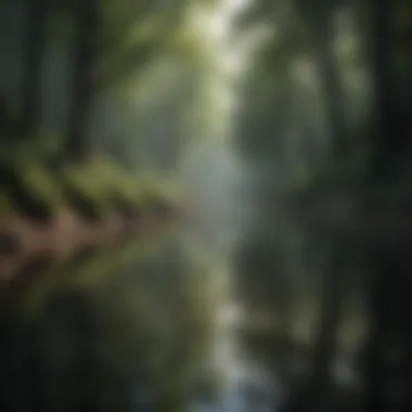 Mindful Nature Reflection Mindful Nature Reflection