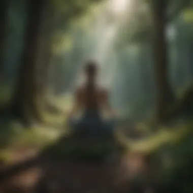 Harmony of Mind and Nature Mindful meditation in nature