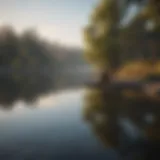 Person in contemplation by a serene lake