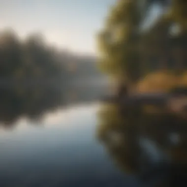Reflection in Serenity Person in contemplation by a serene lake