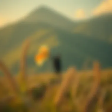 Journey of Self-Discovery An inspiring scene depicting the journey of self-discovery