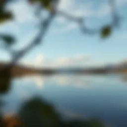 A serene landscape symbolizing inner peace and self-reflection