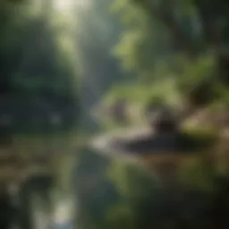 Serene landscape for meditation practice
