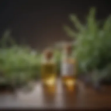 Fragrant Herbs and Oils for Sensory Engagement A close-up of fragrant herbs and essential oils, highlighting sensory engagement for mental peace.