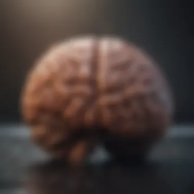 Understanding Cognitive Restructuring A brain illustration representing cognitive restructuring