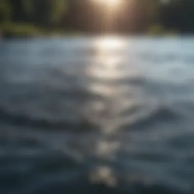 Achieving Emotional Regulation A calm water surface symbolizing emotional regulation
