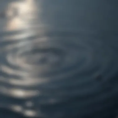 Reflective Water Ripples