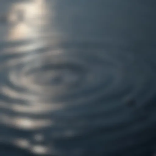 Reflective Water Ripples