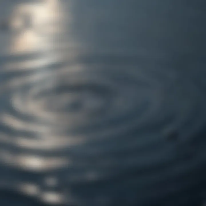 Reflective Water Ripples