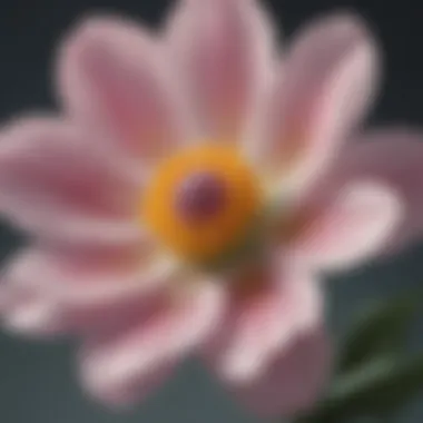 A close-up of a blossoming flower representing personal growth and self-worth