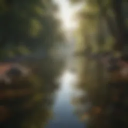A serene landscape reflecting tranquility and balance