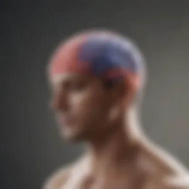 Illustration of brain activity during meditation