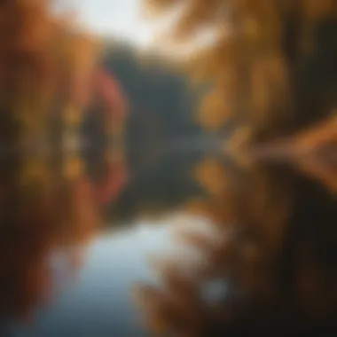 Calm lake reflecting autumn foliage