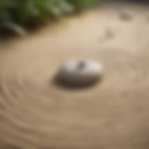 Zen garden with ripples in sand