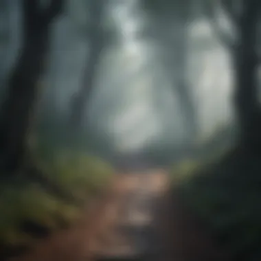 A pathway leading through a misty forest symbolizing a journey