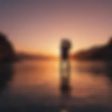 Silhouette of a couple embracing at sunset