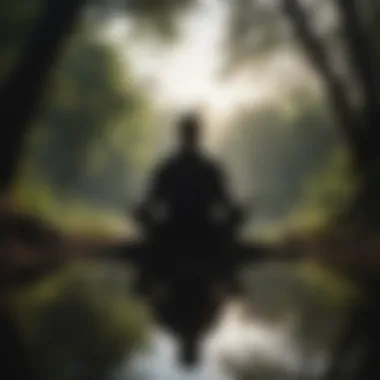 Silhouette of person meditating in nature