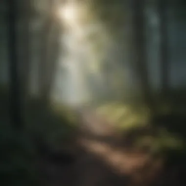 A path through a misty forest leading towards a ray of sunlight