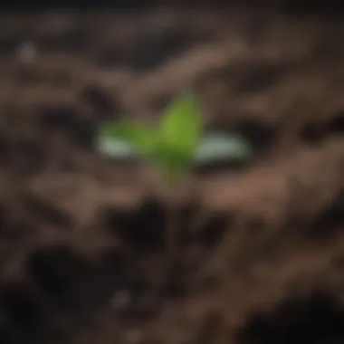 Visual metaphor of a seedling breaking through dark soil, symbolizing hope amidst perpetual sadness