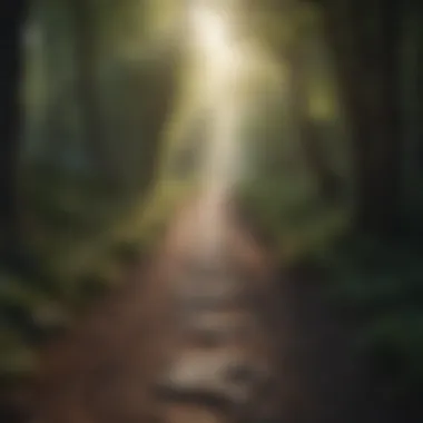 Path to Emotional Fulfillment Amidst Emptiness Path to emotional fulfillment amidst emptiness