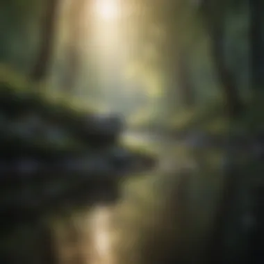 Nature's Embrace and Calmness A peaceful nature scene encouraging mindfulness and tranquility