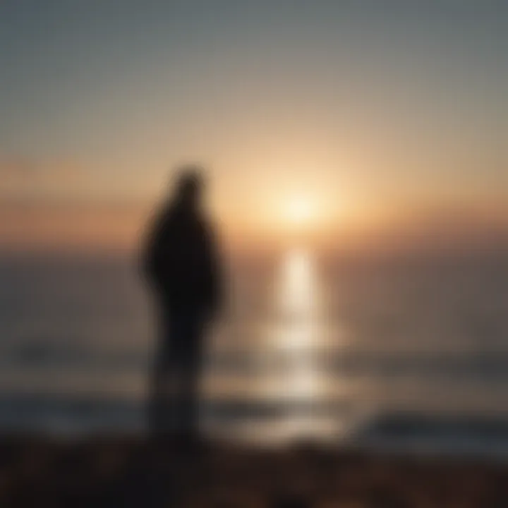 Silhouette of a person looking towards the horizon