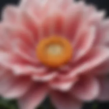 A close-up of a blossoming flower symbolizing self-growth.