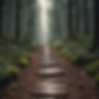 A path winding through a forest, symbolizing personal growth and exploration