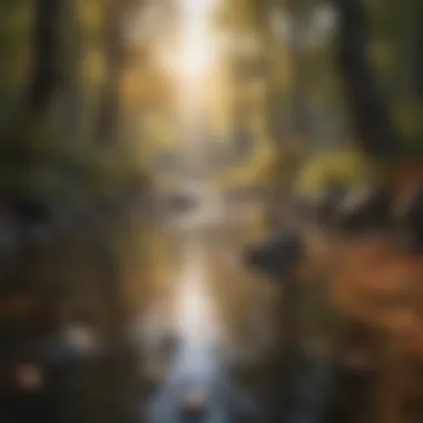 The Essence of Gratitude in Nature A serene landscape reflecting gratitude and peace