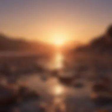 The Journey of Transformation A sunset symbolizing transformation and the journey of gratitude