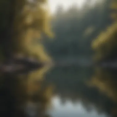 Person journaling by a tranquil lake