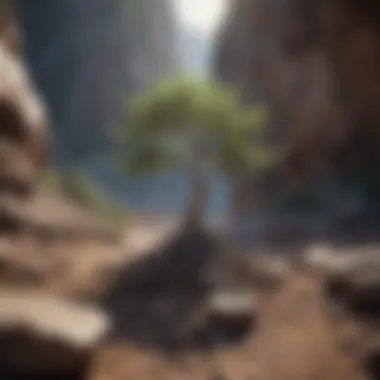 A tree growing amidst rocky terrain, symbolizing resilience in self-discovery