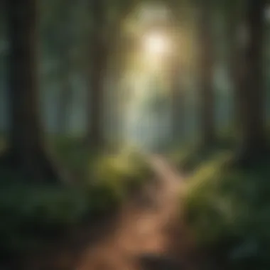 Illustration of a peaceful forest with dappled sunlight filtering through the trees