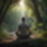 Mindfulness Meditation in Nature