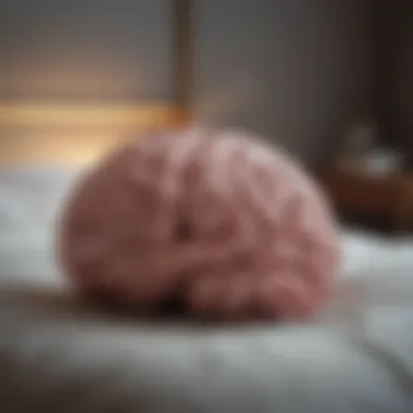 Illustration of brain activity during sleep meditation