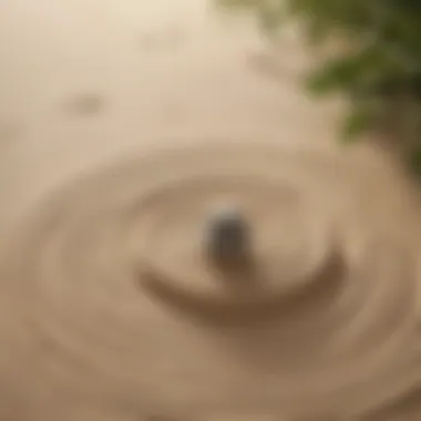 Zen garden with ripples in sand representing mindfulness and inner peace