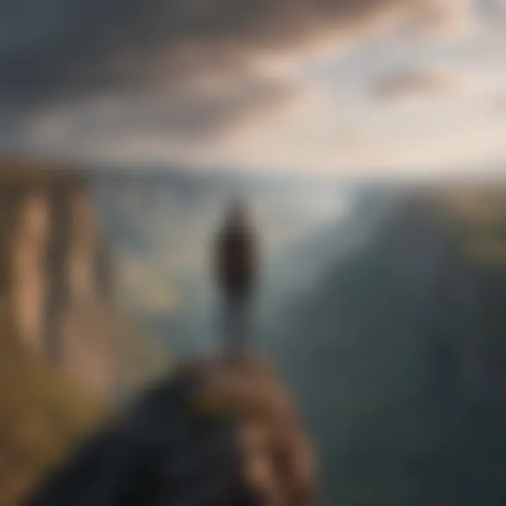 Person standing at the edge of a cliff overlooking a vast landscape