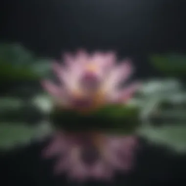 Mindfulness meditation with floating lotus