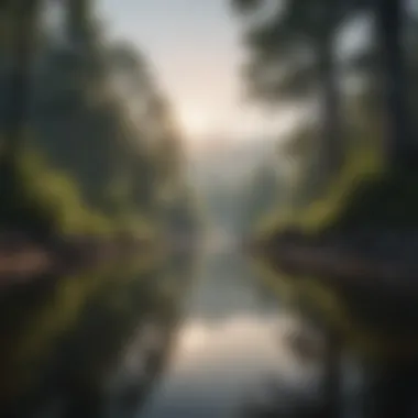 Embracing Peace in Nature A serene landscape reflecting tranquility and peace