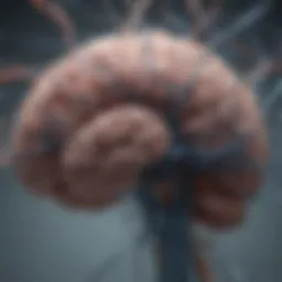 Brain neural connections illustrated