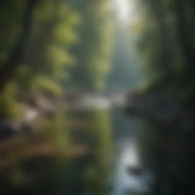 Finding Peace in Nature Serene landscape with calming water