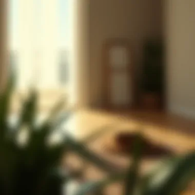 The Power of Mindfulness A tranquil meditation space illustrating the practice of mindfulness