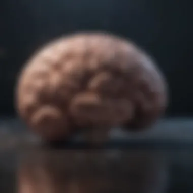 Understanding the Brain's Response in Panic A visual representation of the brain during a panic attack